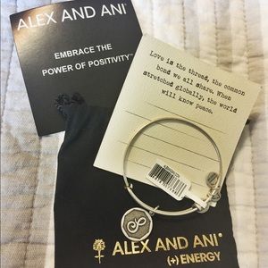 Alex And Ani Bangle